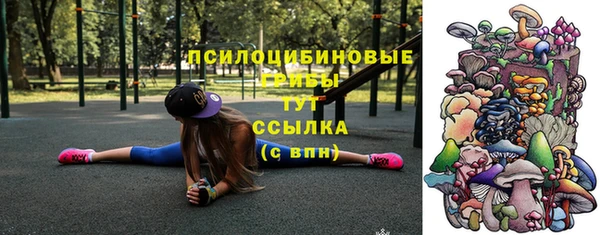 винт Алексин