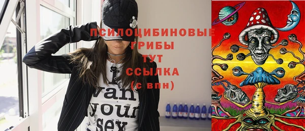 соль ск Абдулино