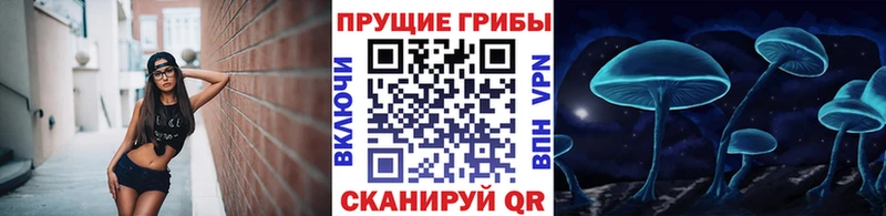 блэк спрут ТОР  Нягань  Галлюциногенные грибы мицелий 